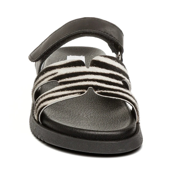 MISSILE-L SANDAL ZEBRA